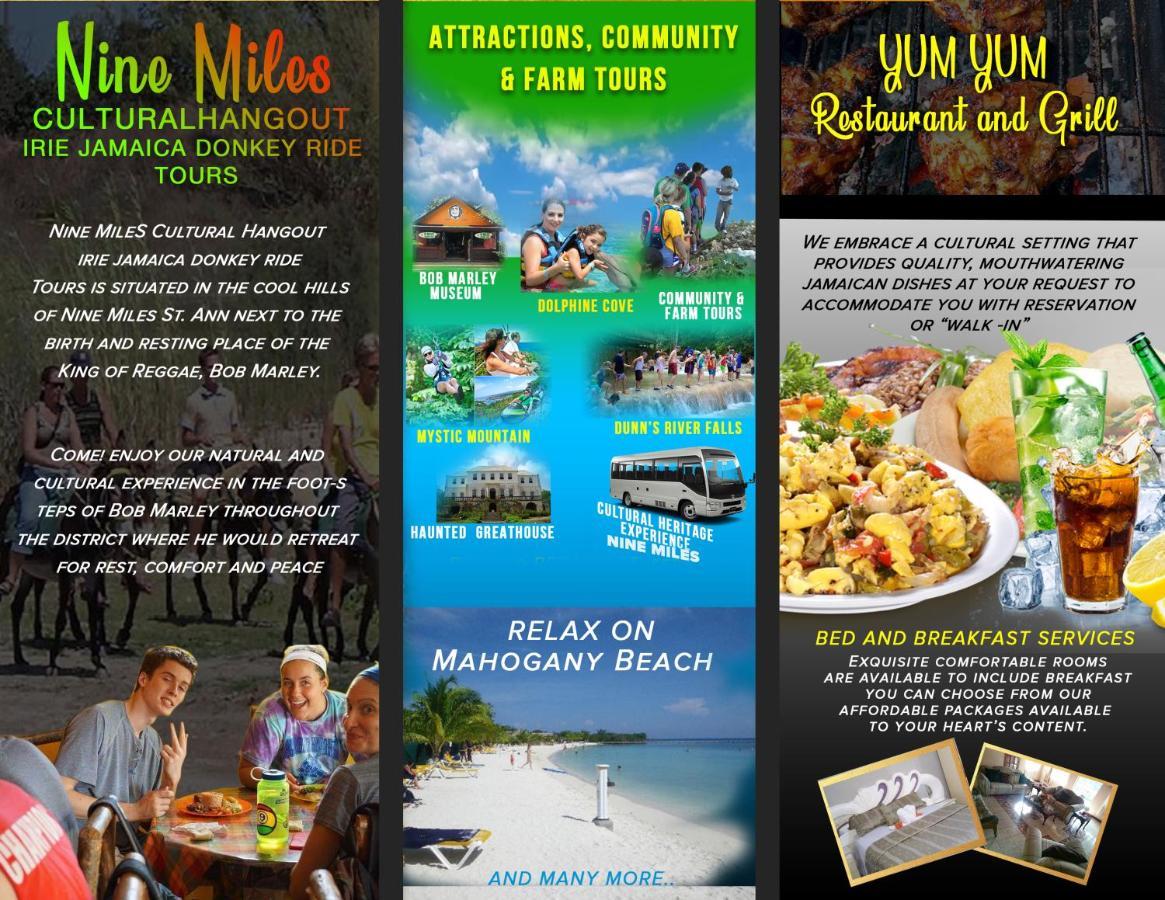 Nine Miles Cultural Hangouts And Tours Stepney Экстерьер фото