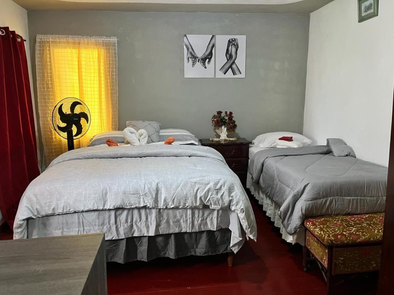 Nine Miles Cultural Hangouts And Tours Stepney Экстерьер фото