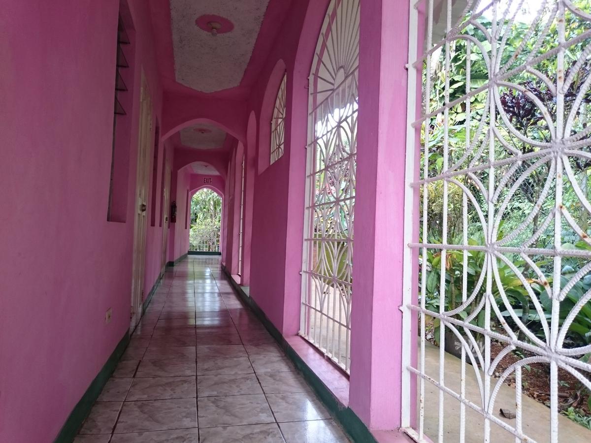 Nine Miles Cultural Hangouts And Tours Stepney Экстерьер фото